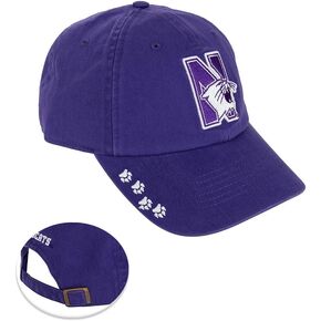 Desert Cactus Northwestern University Baseball Hat NU Wildcats Brimmed Embroirderd Hats Cap Adjustable Cloth Strap Adult (Style O) Purple