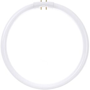 Sunlite FC40T5/SP835 Fluorescent 40W T5 Circline Ceiling Lights, 3500K Neutral White Light, 2GX13 (40 watts)