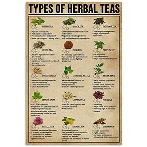 هيكل عظمي لسباق السيارات المعدني، كل شيء سيقتلك، لذا اختر شيئًا ممتعًا من القصدير القديم، لوحة ديكور للحائط للمنزل والمكتب والنادي والمقهى والحديقة والكهف للرجال مقاس 8 × 12 بوصة in Kuwait