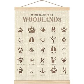 Boat Wades Woodland Animals Track Poster Hanger Frame, Woodland Nursery Hanging Banner Wall Art Decor for Toddler Kids Girl Boy Room Playroom Classroom, 12x16 Inch