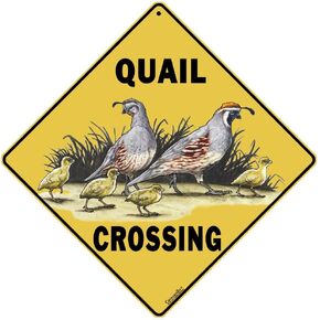 CROSSWALKS Quail Crossing Sign - 12" X 12" Aluminum Sign (X143)