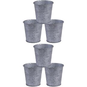 Cabilock 6 pcs Mini Holder Floral Holders Ornament Creative Farmhouse Vintage Vase Wedding Candy Plant Style Center Tin Flowerpot Flowers Planter Galvanized Multipurpose Desktop