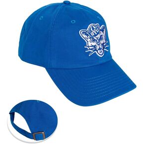 Desert Cactus BYU Brigham Young University University Baseball Hat Cougars Cougs Brimmed Embroirderd Hats Cap Adjustable Cloth Strap Adult (Style D1) Blue
