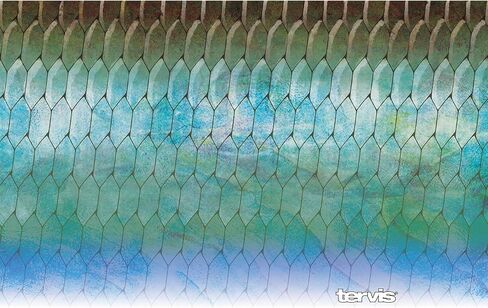بهلوان معزول بنمط Tervis Tarpon، سعة 20 أونصة، غطاء منزلق شفاف وأسود in Saudi Arabia