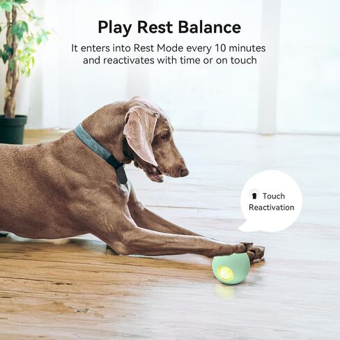 Cheerble Smart Interactive Dog Toy, Wicked Ball PE, Automatic Moving Bouncing Rotating Ball, Active Rolling Ball for Medium and Large Dogs, Peppy Pet Ball with Lights, Dog Birthday Gift (Purple) in Saudi Arabia
