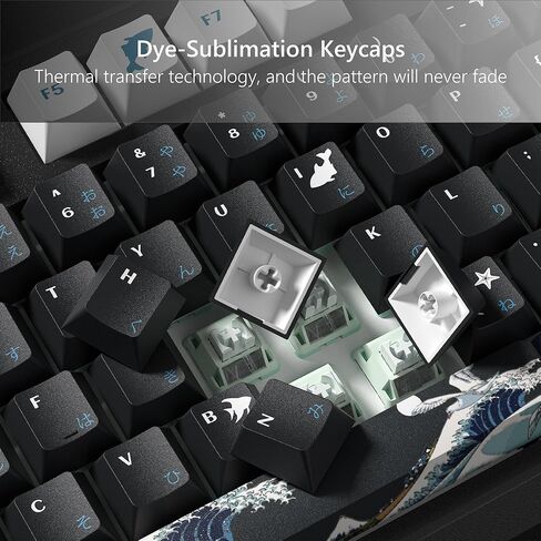 أغطية مفاتيح Womier PBT، أغطية مفاتيح كلاسيكية 75 بالمائة، مجموعة أغطية مفاتيح لوحة المفاتيح المخصصة صبغ التسامي، أغطية مفاتيح ذات شكل الكرز لمعظم 65% 75% 100% لوحة مفاتيح ميكانيكية Gateron Cherry MX Switches، بني in Kuwait