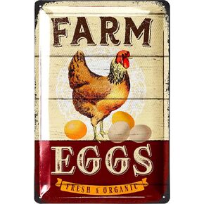 Funny Chicken Coop Signs for outside, Beware of Chicken, Chickens Decor for Coop & Outdoor, Chicken Lover Gifts, Metal Chicken Signs, Chicken Coop Decorations 12x8"