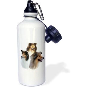 3dRose "Rough Collie" Sports Water Bottle, 21 oz, White