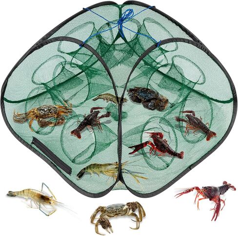 QualyQualy Fishing Net, 2pcs Crawfish Trap for Creeks Foldable Minnow Trap Crawdad Shrimp Bait Traps Crab Nets for Fish Crabbing in Kuwait