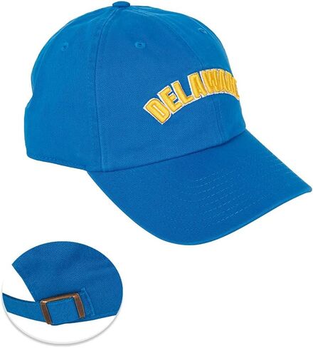 Desert Cactus University of Delaware Baseball Hat Fightin Blue Hens UD Brimmed Embroirderd Hats Cap Adjustable Cloth Strap Adult (Style D) in Saudi Arabia