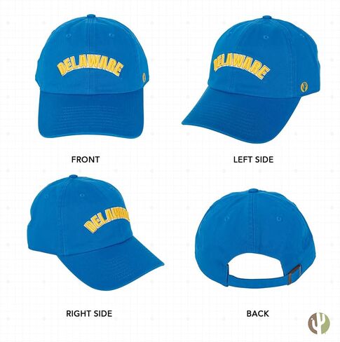 Desert Cactus University of Delaware Baseball Hat Fightin Blue Hens UD Brimmed Embroirderd Hats Cap Adjustable Cloth Strap Adult (Style D) in Saudi Arabia