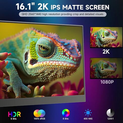 2.5K Portable Monitor 17.3 Inch 2560x1440 100% Adobe sRGB IPS HDR USB-C Second Laptop Monitor HDMI Computer Display Gaming Monitor Travel Monitor for Laptop PC Mac Phone PS4 Xbox Switch in Saudi Arabia