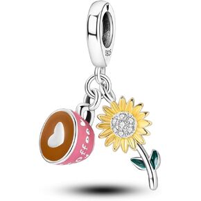 Hapour Sterling Silver Bike Charms for Bracelets and Necklaces Bicycle Enamel Flower Beads Dangle Pendant Jewelry Gifts for Women in Kuwait