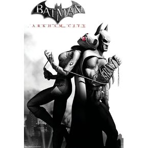 Trends International DC Comics VIdeo Game - Arkham City - Catwoman Wall Poster, 22.375" x 34", Premium Unframed Version