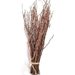 50 pcs Birch Branches for Vases, Decoration for Sale. Natural Birch Twigs for centerpieces. Floral Stick.