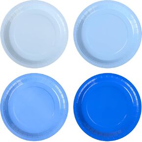 Dusty Blue Paper Plates Gradient Blue Party Plates 9 Inch Disposable Pastel Birthday Plates Round Dinner Dessert Plates for Wedding Baby Bridal Shower Party Supplies Tableware Decor (48, Dusty Blue)