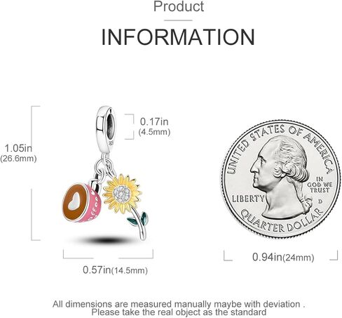 Hapour Sterling Silver Bike Charms for Bracelets and Necklaces Bicycle Enamel Flower Beads Dangle Pendant Jewelry Gifts for Women in Kuwait