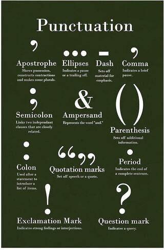 Punctuation Grammar Writing Chart Poster Green Color English Class Sign Diagram Classroom Educational Cool Wall Art Print Poster 16x24 in Saudi Arabia