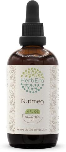 Nutmeg B60 Alcohol-Free Herbal Extract Tincture, Nutmeg (Myristica Fragrans) Dried Nut (2 fl oz) in Kuwait
