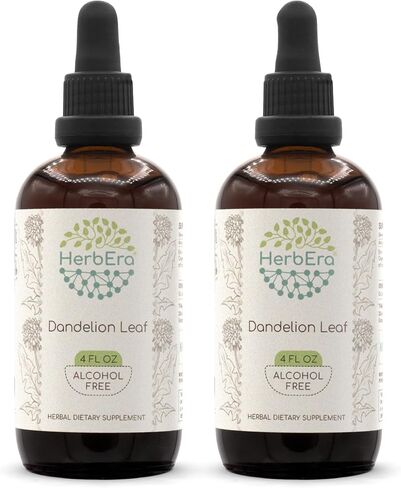 Dandelion Leaf B120 Alcohol-Free Herbal Extract Tincture, Concentrated Liquid Drops Natural Dandelion (Taraxacum Officinale) Dried Leaf (4 fl oz) in Kuwait