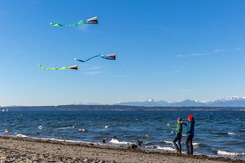 Pocket Flyer Single Line Kite Ultraviolet - Ready for Flight Wherever Adventure Takes You in Saudi Arabia