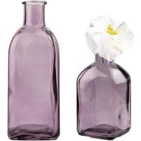 Clear Bud Vases 2 Sets Glass Colorful Small Vases for Flowers, Decorative Glass Bottles, Apothecary Jars, Mini Flower Vases for Wedding Centerpieces, Vintage Vase for Home Decor, Table Décor (Purple)