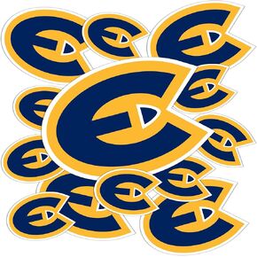 Desert Cactus University of Wisconsin Eau Claire Sticker UWEC Blugolds Stickers Vinyl Decals Laptop Water Bottle Car Scrapbook T3 (Type 3-1)