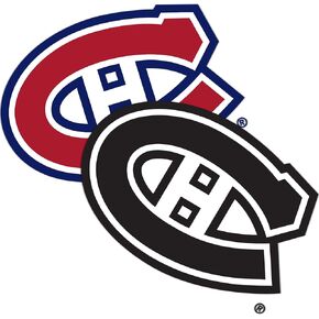 Desert Cactus Montréal Canadiens Team NHL National Hockey League Sticker Vinyl Decal Laptop Water Bottle Car Scrapbook (4 inch Sticker)