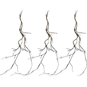 Beamon Aftificial Flower 3PCS Bendable Tree Branches 55in Wall Hanging Artificial Tree Vines Fake Reptile Plants Branches Twigs Trunk Garland for Garden Home Background Halloween X'Mas Decoration