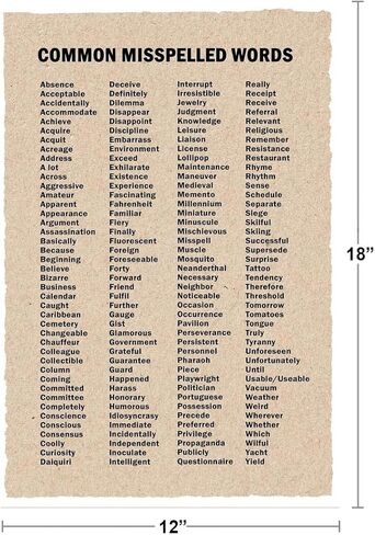 Punctuation Grammar and Writing Classroom English Class Posters Depth Of Knowledge Lit Literary Terms Library Decorations High School Teacher Home Chart Speech Cool Wall Art Print Poster 16x24 in Saudi Arabia