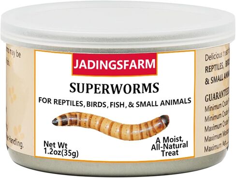 jadingsfarm 6 حزمة ديدان الوجبات المعلبة للزواحف والأسماك والطيور والحيوانات الصغيرة، والديدان وجبة، علاج صحي عالي البروتين، طعام أسماك الطيور الزواحف 1.2 أوقية لكل منهما in Kuwait