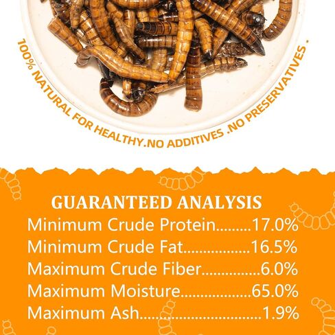 jadingsfarm 6 حزمة ديدان الوجبات المعلبة للزواحف والأسماك والطيور والحيوانات الصغيرة، والديدان وجبة، علاج صحي عالي البروتين، طعام أسماك الطيور الزواحف 1.2 أوقية لكل منهما in Kuwait