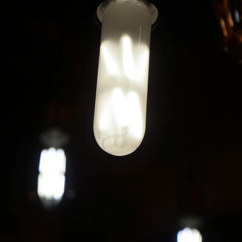لمبة LEOOLS T10 Led متجمدة، لمبة إضاءة LED أنبوبية قابلة للتعتيم 8 وات، ما يعادل لمبة متوهجة 75 وات، 2700 ك أبيض دافئ ناعم، زجاج بلوري، قاعدة E26، لخزانة عرض الخزانة وما إلى ذلك، 3 عبوات. in Saudi Arabia