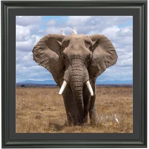 LTYHHK 22x22 Picture Frame Solid Wood with Black Mat, Displays Picture 20x20 with Mat or 22x22 Inch without Mat, Poster Frame 22x22 Photo Frames 20x20 Diamond Painting Frame Black (L23B2222B2020)