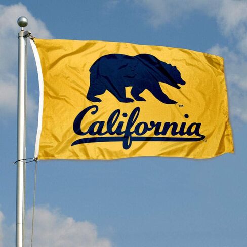 شركة College Flags & Banners Co. Cal Berkeley Golden Bears Walking Bear Grommet Flag in Saudi Arabia