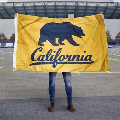 شركة College Flags & Banners Co. Cal Berkeley Golden Bears Walking Bear Grommet Flag in Saudi Arabia