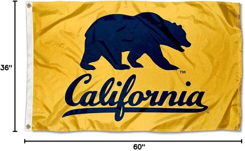 شركة College Flags & Banners Co. Cal Berkeley Golden Bears Walking Bear Grommet Flag in Saudi Arabia