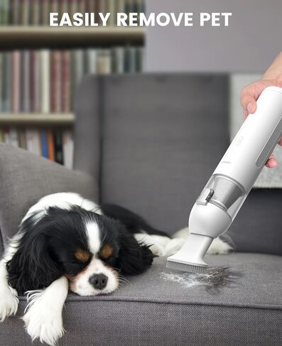 مكنسة كهربائية للسيارة لاسلكية صغيرة من CAFELE، مكنسة كهربائية محمولة صغيرة محمولة لشعر الأريكة مع مصباح يدوي LED، سرعتان، فوهات، وقت تشغيل يصل إلى 45 دقيقة كحد أقصى، للسيارة والمكتب والمنزل والأريكة المكتبية in Kuwait