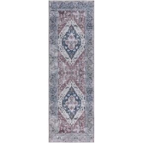 SAFAVIEH Tucson Collection Runner Rug - 2'6" x 8', Rust & Navy, Persian Medallion Design, Non-Shedding Machine Washable & Slip Resistant Ideal for High Traffic Areas in Living Room, Bedroom (TSN172P)