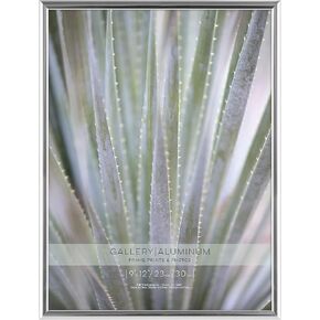 MCS 9x12 Inch Gallery Aluminum Frame, Silver (44921)