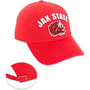 Desert Cactus Jacksonville State University Baseball Hat Gamecocks JSU Jax State Brimmed Embroirderd Hats Cap Adjustable Cloth Strap Adult (Style E) Red