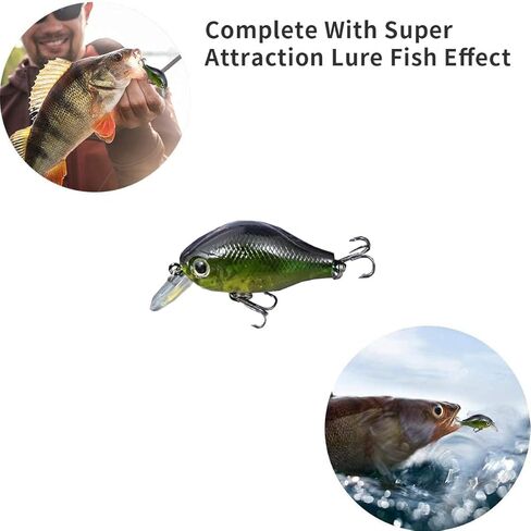 مجموعة أدوات صيد السمك، صندوق معالجة، طُعم صلب ناعم لسمك السلمون المرقط in Kuwait