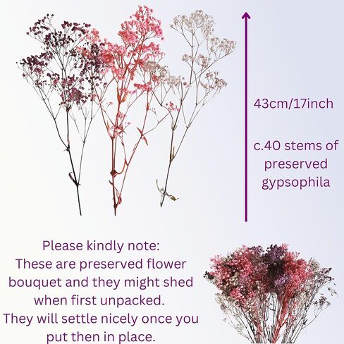 Preserved Flowers Bouquet - Purple Forever Flowers With Eternal Roses & Purple Hydrangea, Flowers For Delivery Prime, Gifts For Women Birthday Unique, No Vase & Alternative to Fresh Cut Floral in Saudi Arabia