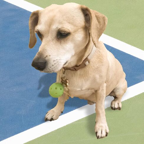 مجموعة زينة Pickleball مكونة من 4 قطع، سلسلة مفاتيح Pickleball لحقيبة Pickleball، وحقيبة الصالة الرياضية، والمحفظة، تستخدم كزينة in Saudi Arabia
