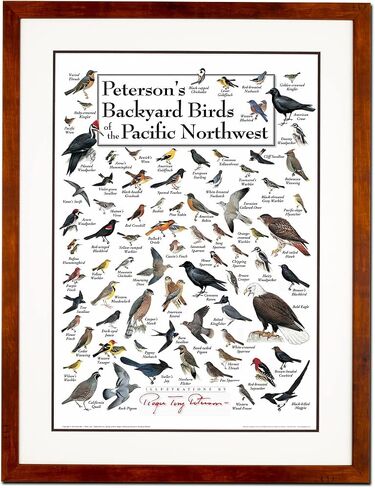 Earth Sky + Water - Peterson’s Backyard Birds of The Pacific Northwest in Saudi Arabia