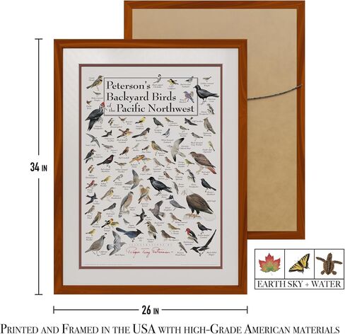 Earth Sky + Water - Peterson’s Backyard Birds of The Pacific Northwest in Saudi Arabia