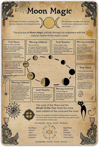 SmartCows Vintage Witchcraft Knowledge Poster Metal Sign Funny Science Education Tin Sign Bar Home Wall Decor Kitchen Decoration 8x12 Inch in Saudi Arabia