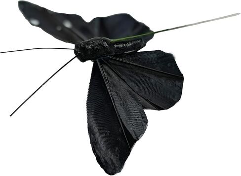 YCHTEWY- 12 pcs Black Butterflies Party Decorations Halloween Decoration Home Decoration… in Saudi Arabia
