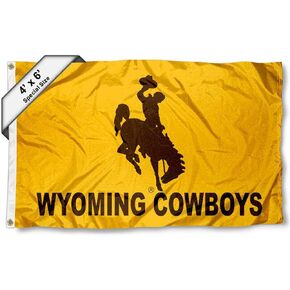 College Flags & Banners Co. Wyoming Cowboys 4 ft x 6 ft Flag