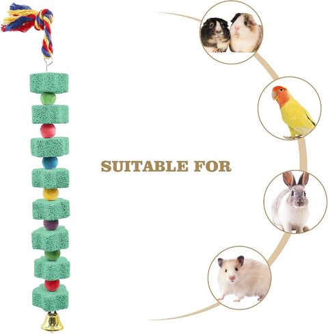 2 Pack Large Chicken Chewing Toy, Chick Beak Grinding Calcium Stone with Bells, Chicken Cage Accessories, Cage Toys for Cockatiel Parakeet Parrot Budgies Rat Hamster Rabbit Bunny African Grey in Saudi Arabia